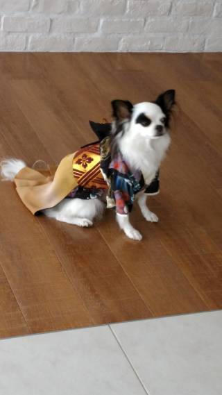 写真だけの結婚式　ecoo（エクー）_アドバイス写真