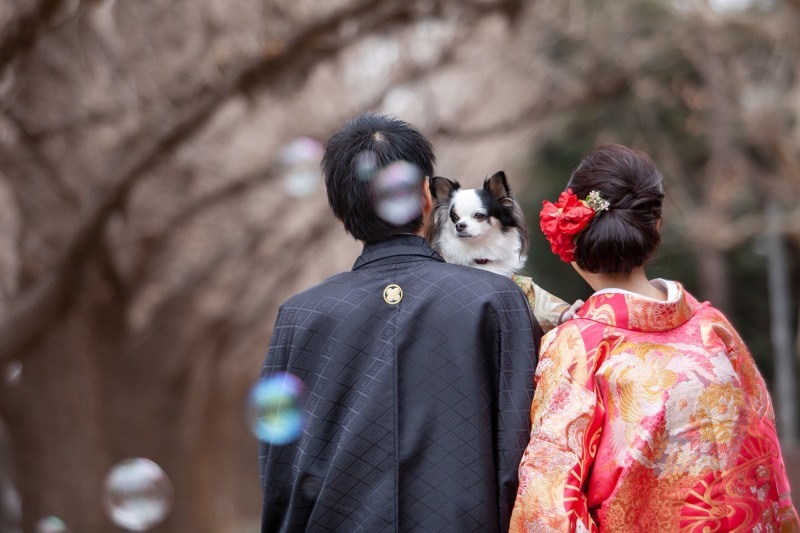 写真だけの結婚式　ecoo（エクー）_投稿写真