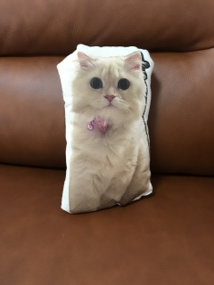 CLAIRE自由が丘店【営業終了】_アドバイス写真