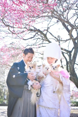 キヌヤブライダルスクエア　フェリチタ大宮店_アドバイス写真