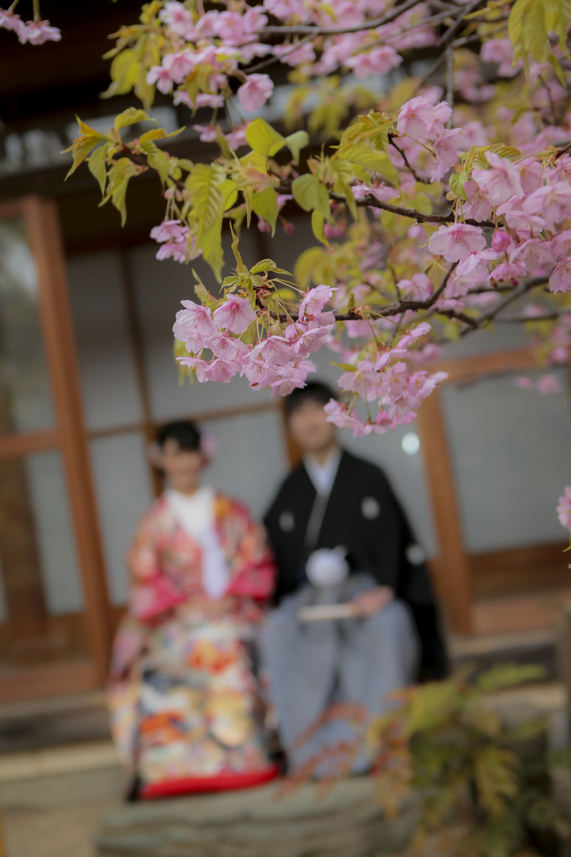 華雅苑　千葉店_投稿写真