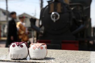 ワタベウェディング松山フォトスタジオ_アドバイス写真