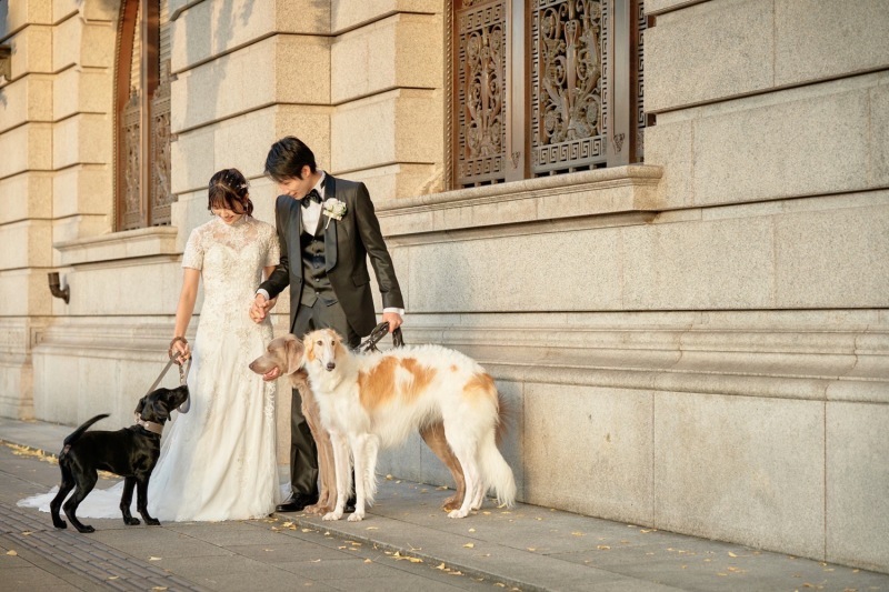 studio M・AI・M_投稿写真