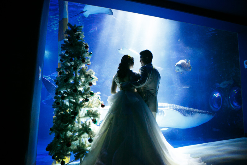 Photo Jellish 金沢店（フォトジェリッシュ 金沢店）_投稿写真