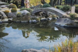 カンマチスタジオ_アドバイス写真