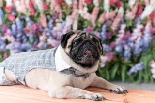 Dears Pictures CHIBA (ディアーズ・ピクチャーズ千葉)_アドバイス写真