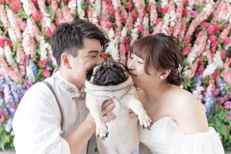 Dears Pictures CHIBA (ディアーズ・ピクチャーズ千葉)_投稿写真