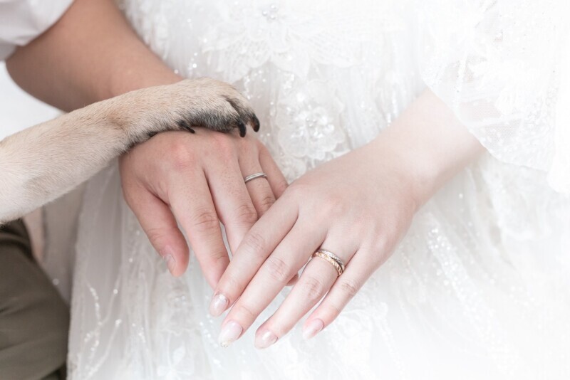 Dears Pictures CHIBA (ディアーズ・ピクチャーズ千葉)_投稿写真