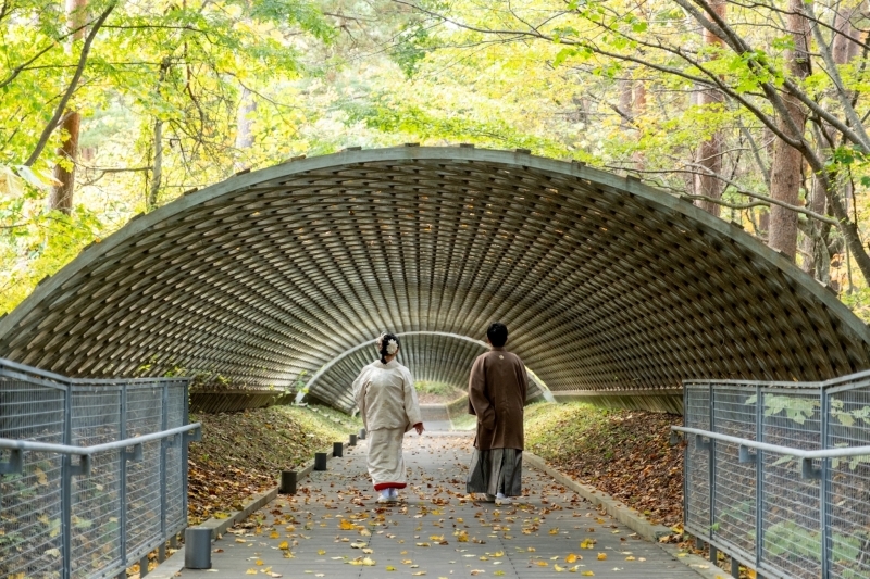 プロがいるからできるクオリティ_37656_投稿写真_1