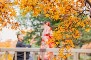 華雅苑　千葉店_アドバイス写真