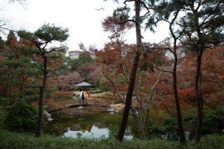 華雅苑　宇都宮店_アドバイス写真