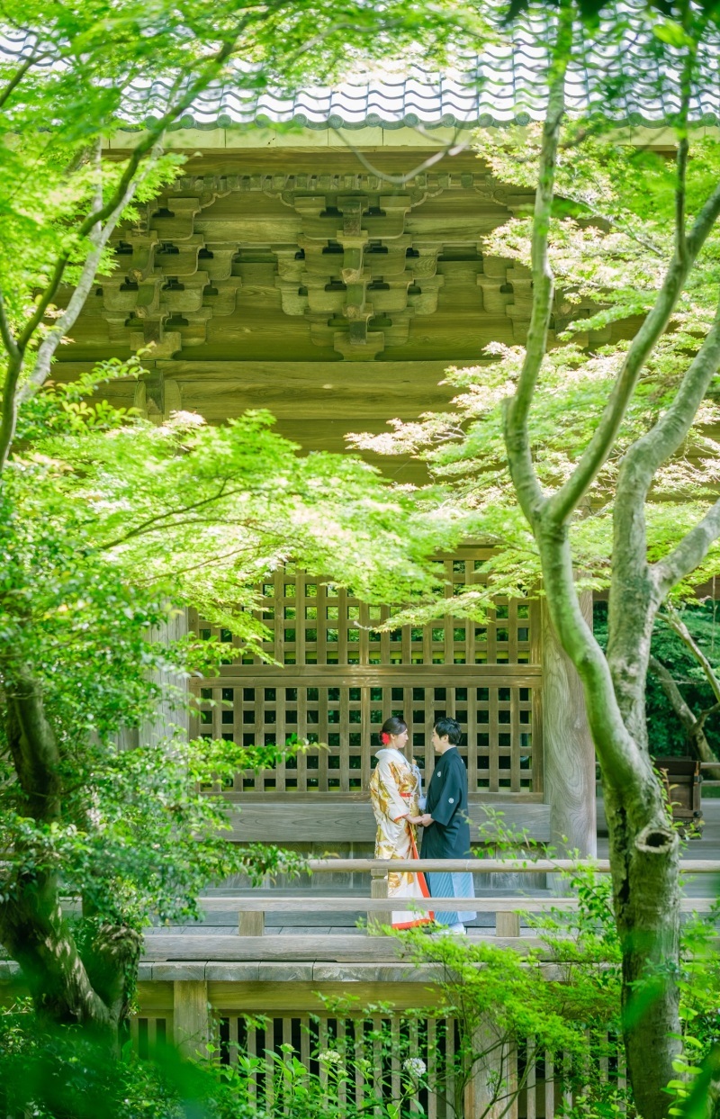 おまかせプランでも良いロケーション_38161_投稿写真_1