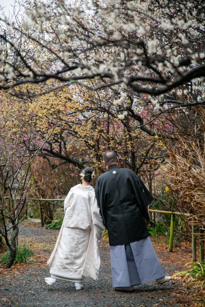 京都 あざらし堂 ー写真部ー_投稿写真