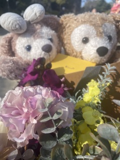 前撮り結婚式.com 縁photo _アドバイス写真