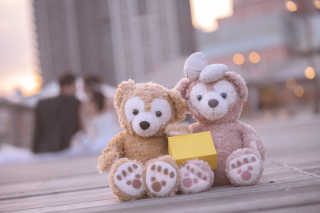 前撮り結婚式.com 縁photo _アドバイス写真