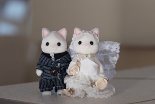 マリアージュ　ことぶき_アドバイス写真