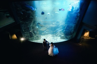 STUDIO TVB 京都店（スタジオTVB）_アドバイス写真