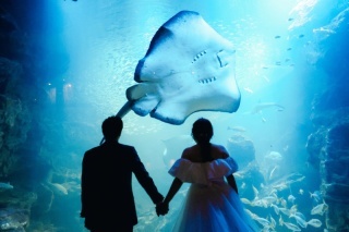 STUDIO TVB 京都店（スタジオTVB）_アドバイス写真