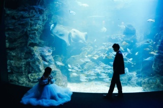 STUDIO TVB 京都店（スタジオTVB）_アドバイス写真