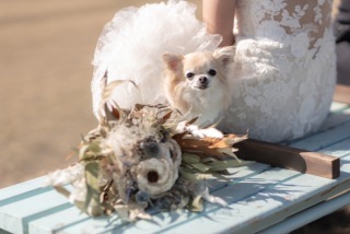 diar wedding　_アドバイス写真