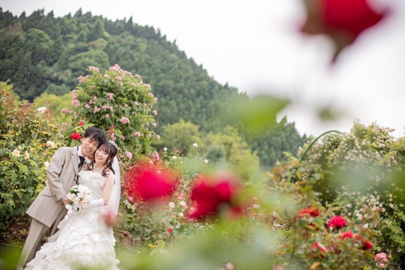 ローズに囲まれた前撮り_38897_投稿写真_3