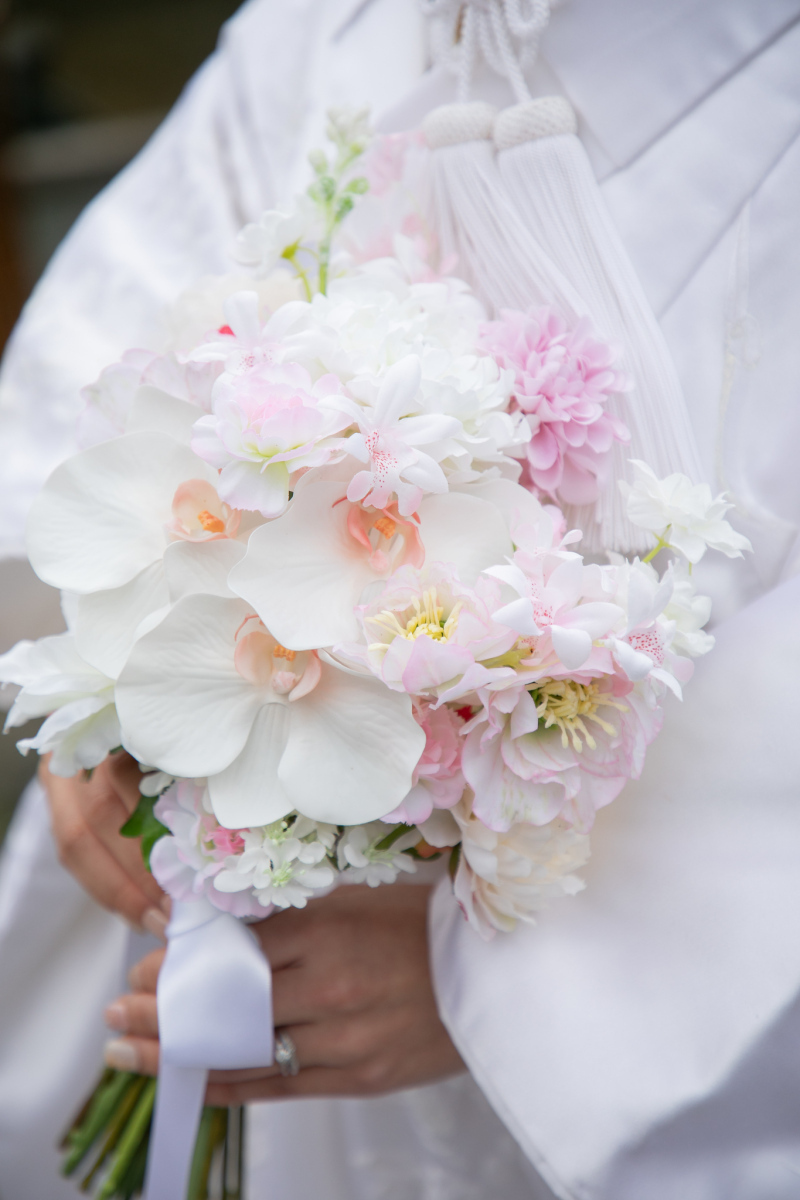 京都 あざらし堂 ー写真部ー_投稿写真