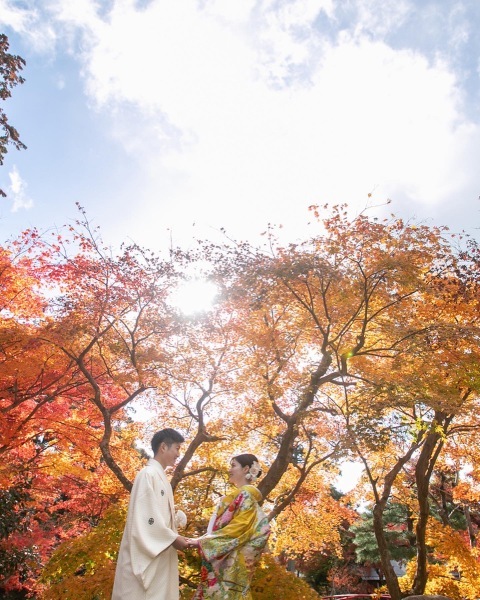 京都 あざらし堂 ー写真部ー_投稿写真