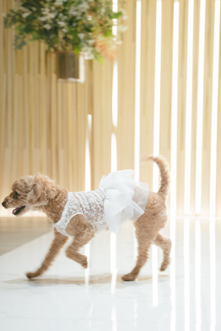 小さな結婚式 岡山店_アドバイス写真