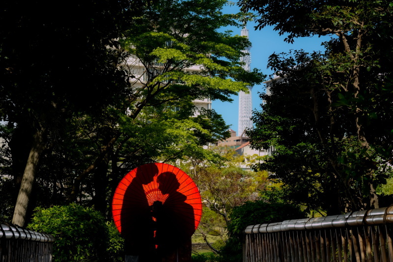 華雅苑　浅草橋本店 _投稿写真