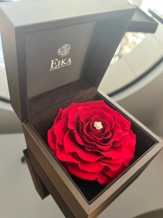 韓国ドレスでフォトウェディング｜BEREL東京 _アドバイス写真