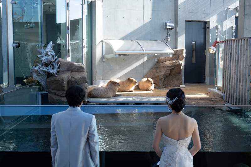 VOYAGE KOBE　~上質な神戸フォトウェディング~_投稿写真