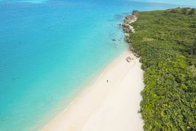 WhaleTail　宮古島ウエディングフォト_投稿写真