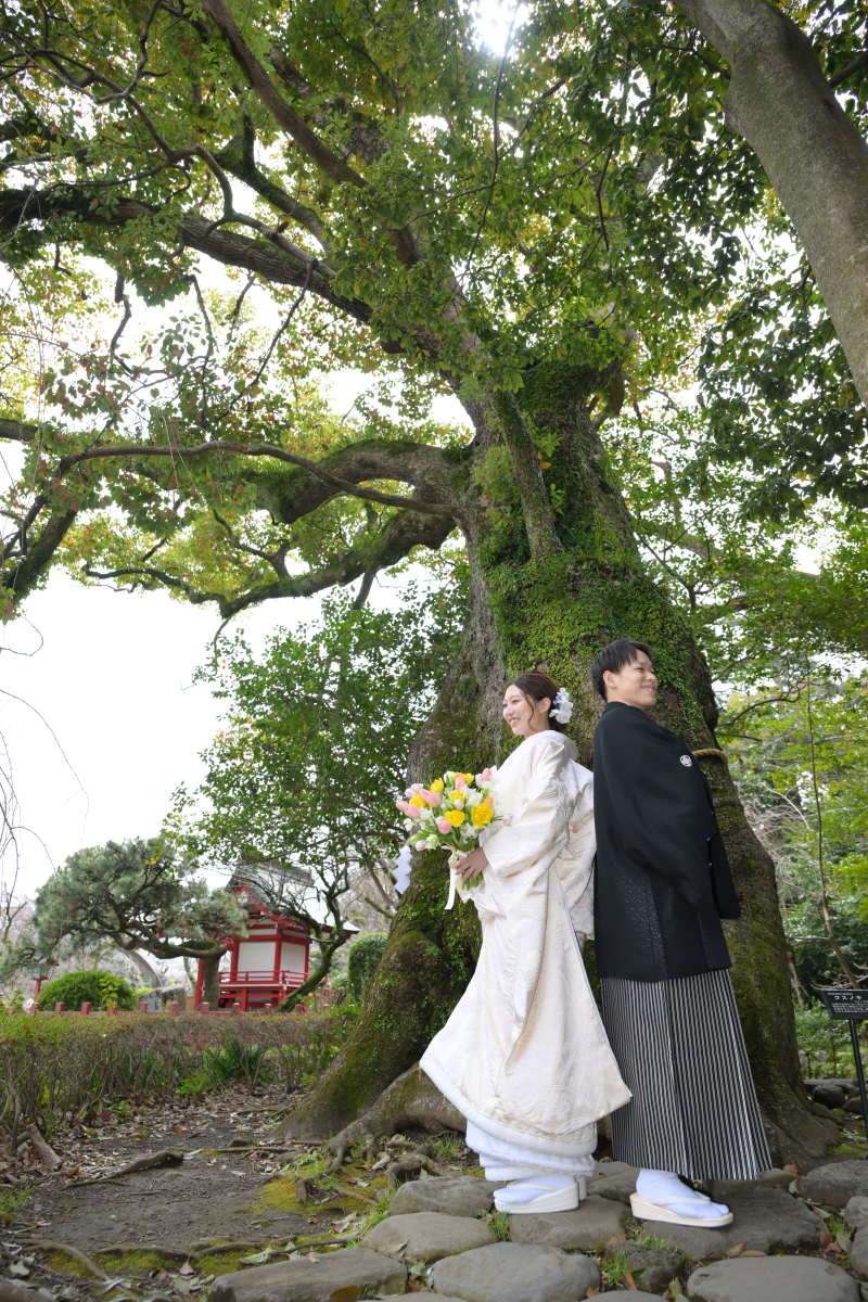 地域で愛される三島大社で素敵なお写真を撮れました_39383_投稿写真_1
