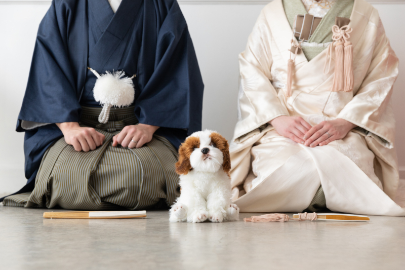 studio TO-WA_投稿写真