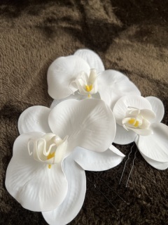 ワタベウェディング長野フォトスタジオ_アドバイス写真