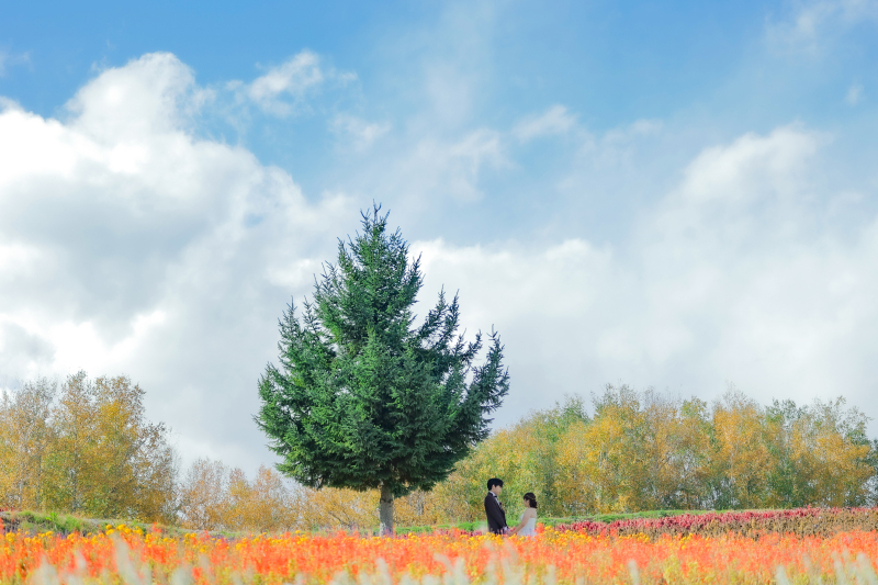 一生ものの写真と最高の思い出ができました_39528_投稿写真_1