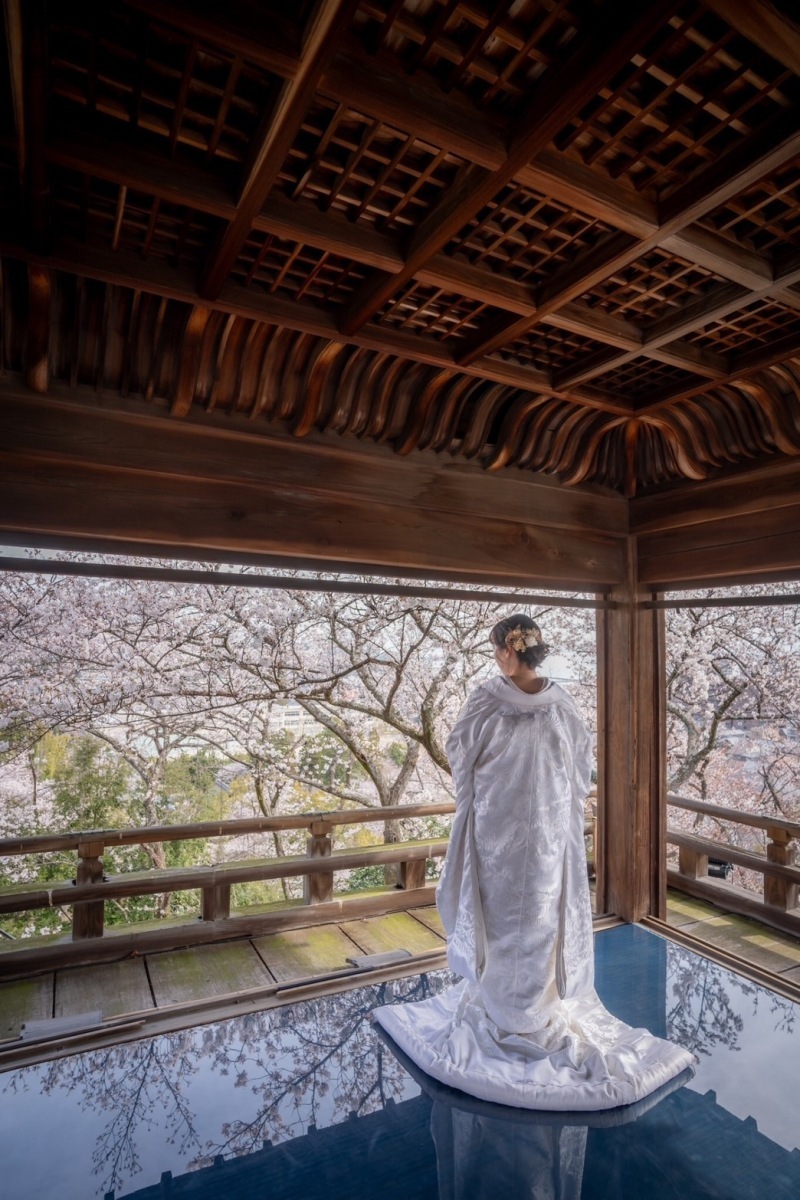 三井寺で桜をバックに撮りたかった夢が叶いました_40516_投稿写真_3
