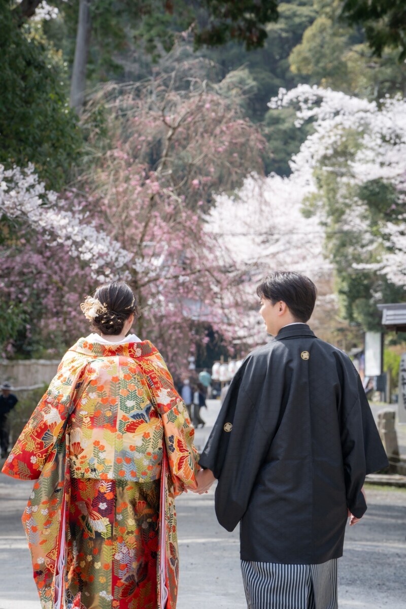 三井寺で桜をバックに撮りたかった夢が叶いました_40516_投稿写真_1