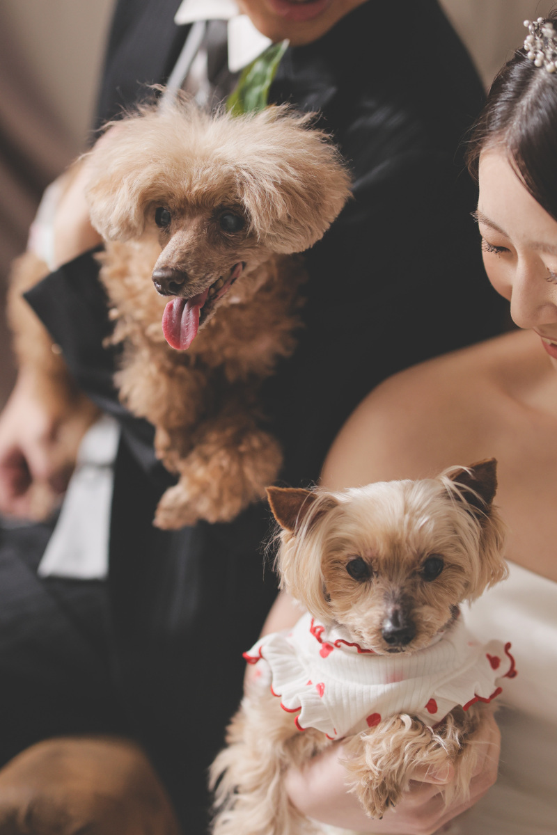 ペットとも撮影可！手頃な値段で値段以上の仕上がりに_39637_投稿写真_1