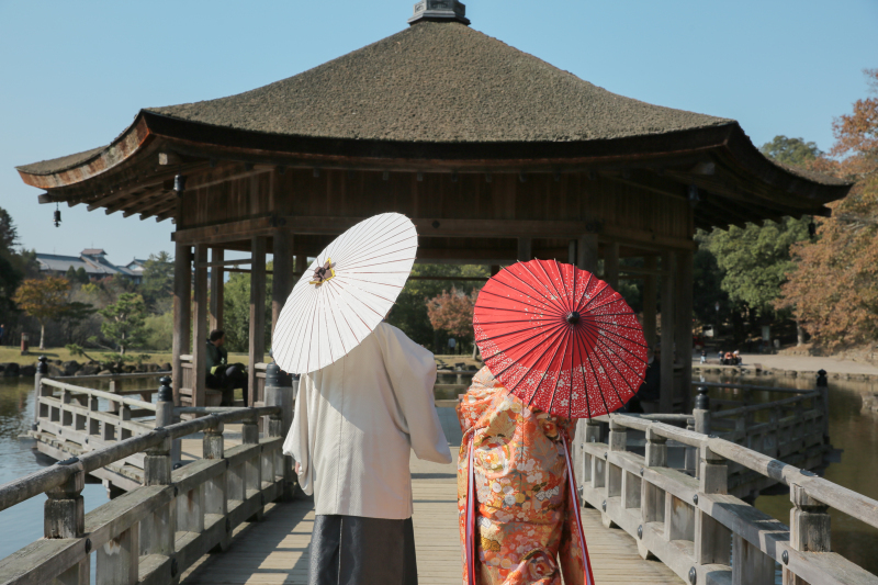 もっと動き回ればよかったです_39674_投稿写真_1