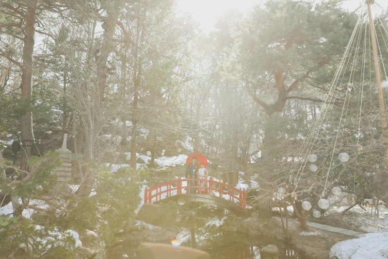 Photo Studio Lily_投稿写真