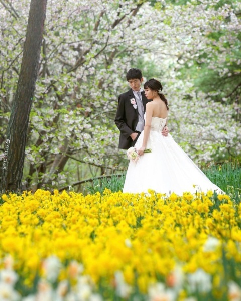 ル・トレフル produced by スタジオエス_投稿写真