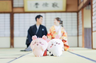 倉敷アモル by STUDIO View 美観地区店_アドバイス写真