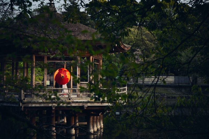 はなよめフォトウエディング奈良_投稿写真