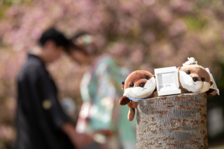 前撮り結婚式.com 縁photo _アドバイス写真