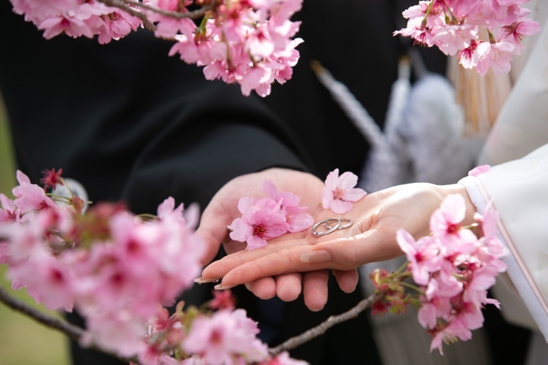 ル・トレフル produced by スタジオエス_投稿写真