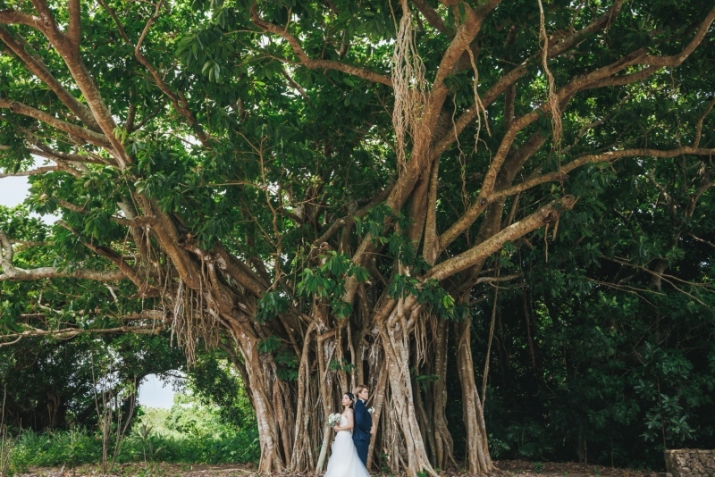 Little Martha 石垣島_投稿写真