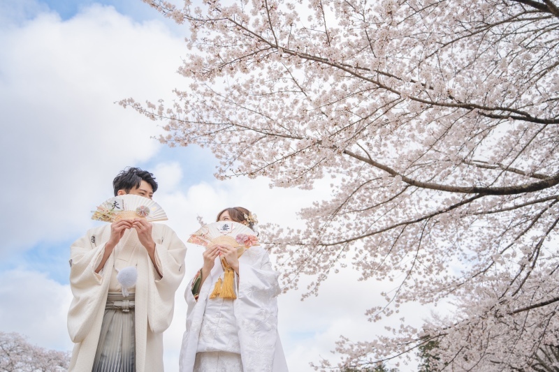 桜ロケーション希望の方、オススメです！_39978_投稿写真_2
