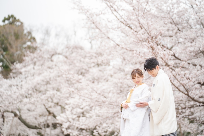 桜ロケーション希望の方、オススメです！_39978_投稿写真_1