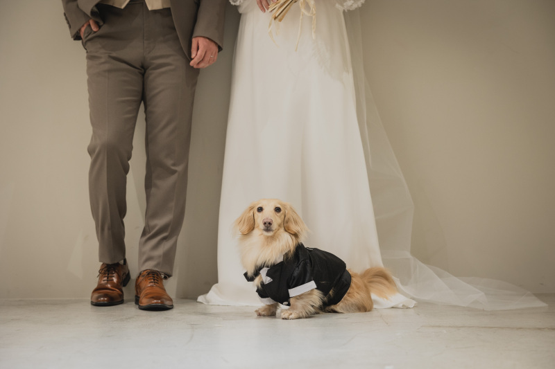 Creators'Genic_投稿写真